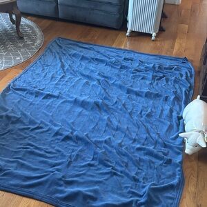 Cannon Home Electric Blanket, twin size in blue.